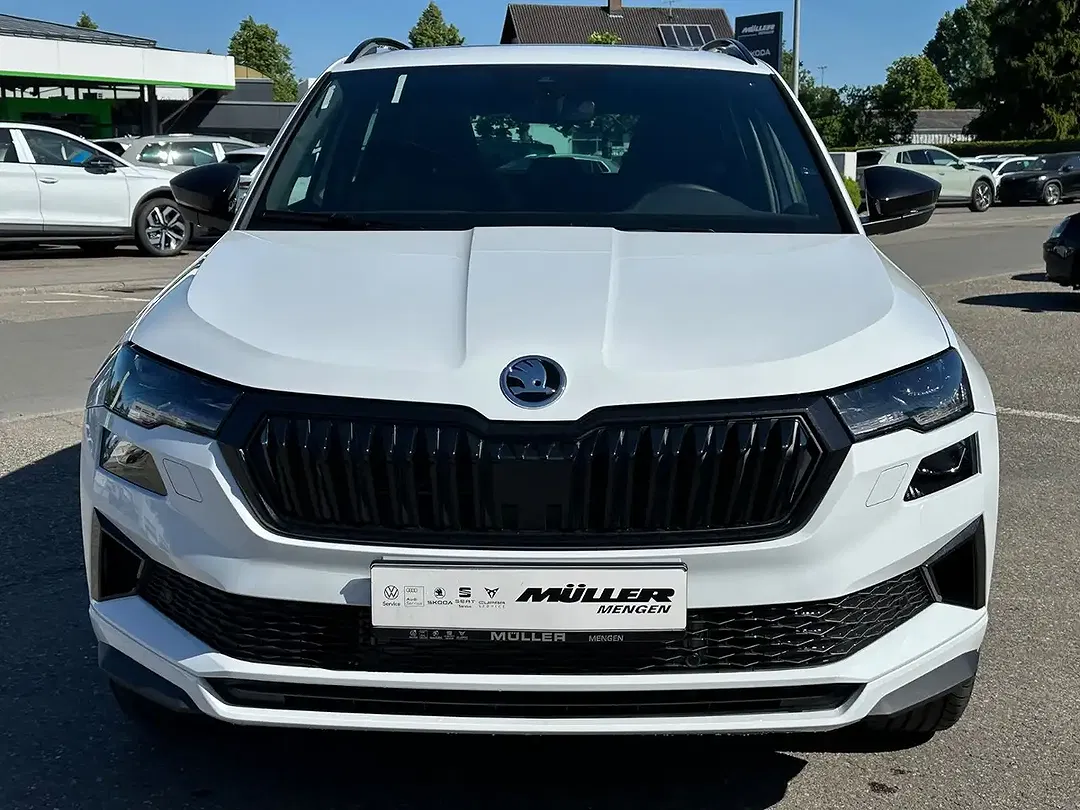 Skoda Karoq - Thumbnail 2