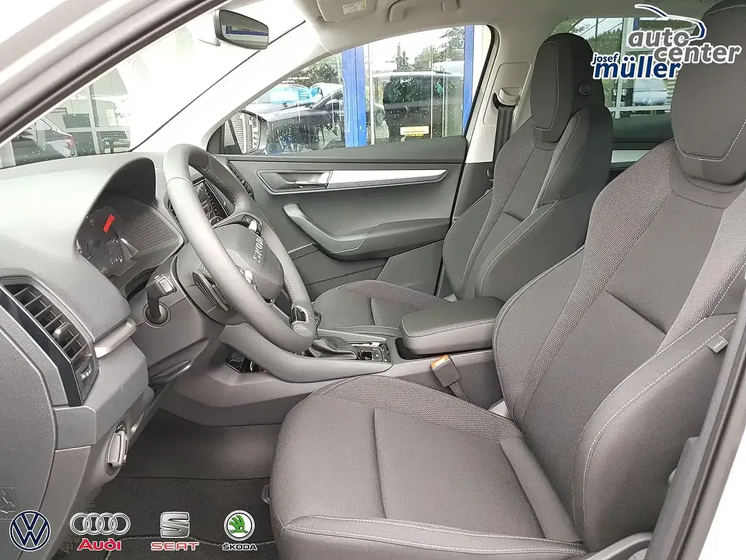 Skoda Karoq - Thumbnail 14