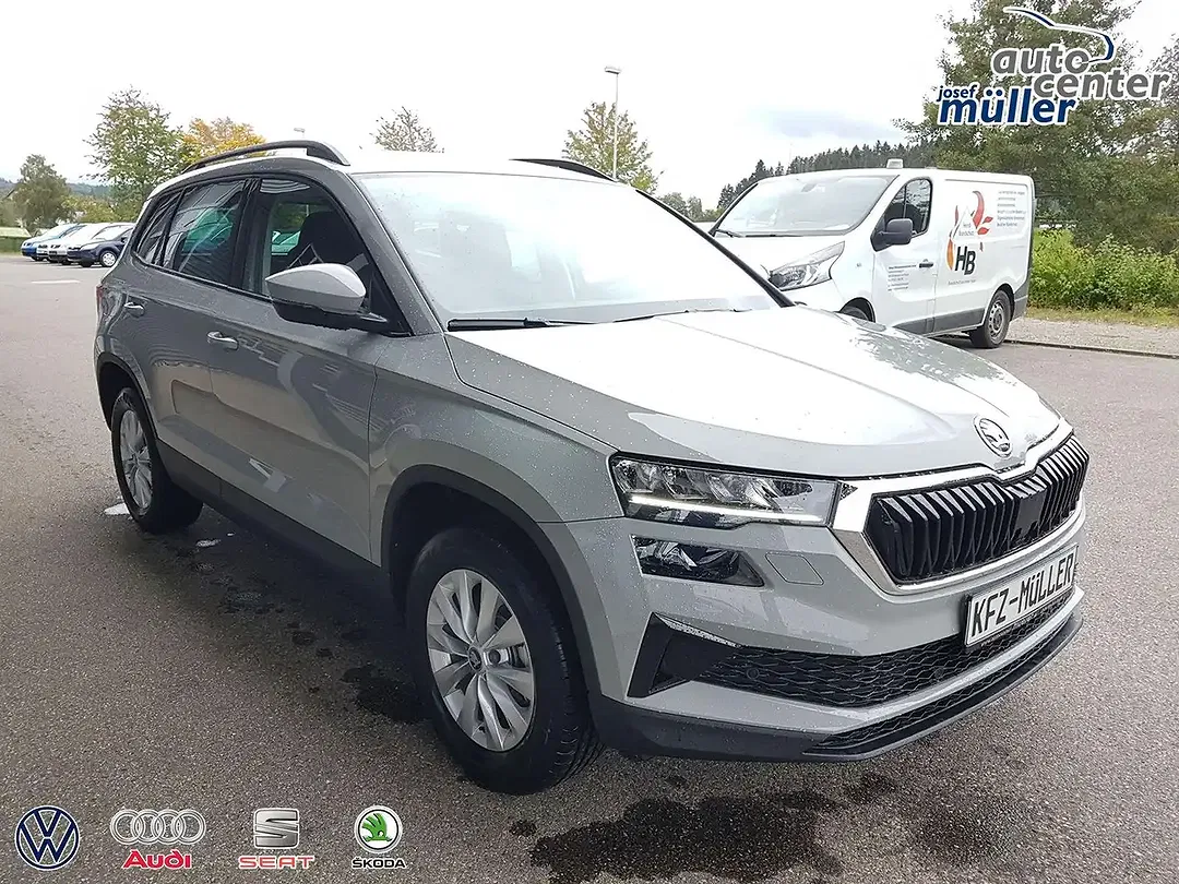 Skoda Karoq - Thumbnail 3