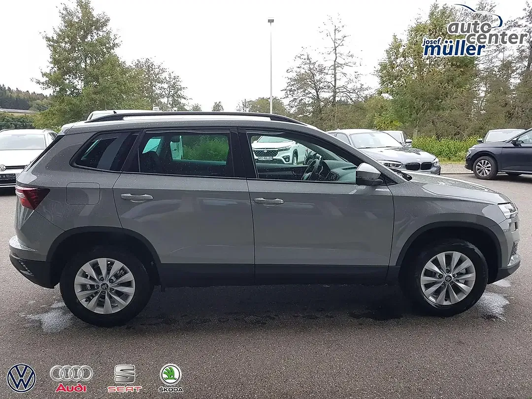 Skoda Karoq - Thumbnail 4