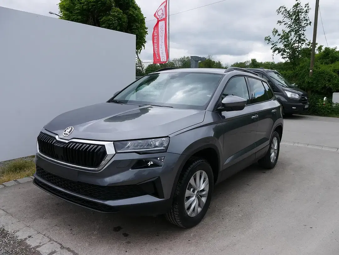 Skoda Karoq - Thumbnail 1