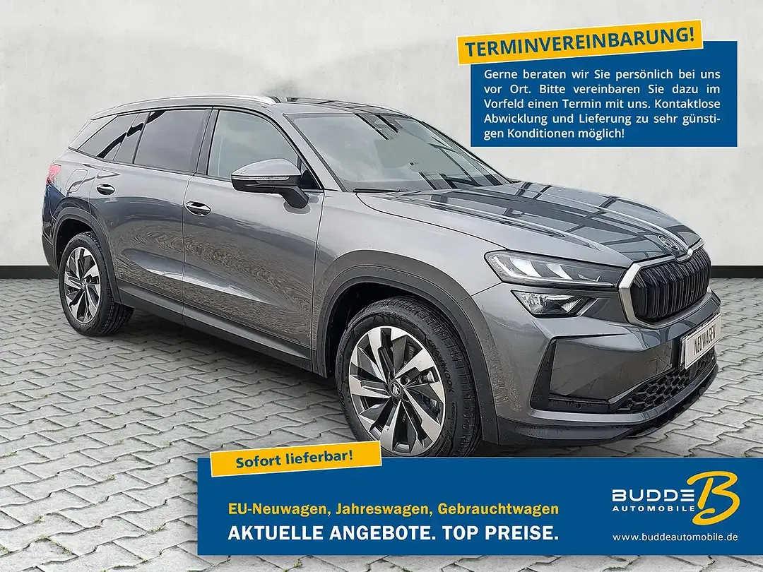 Skoda Kodiaq - Thumbnail 1