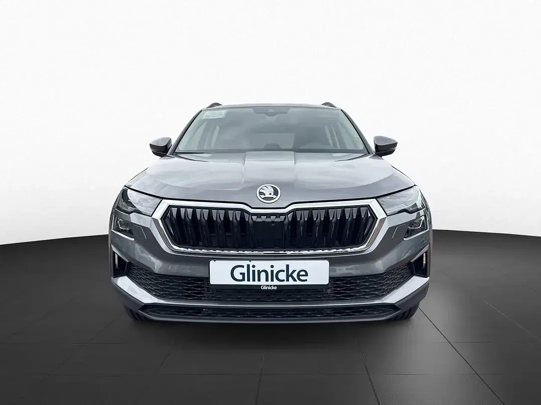Skoda Karoq - Thumbnail 3