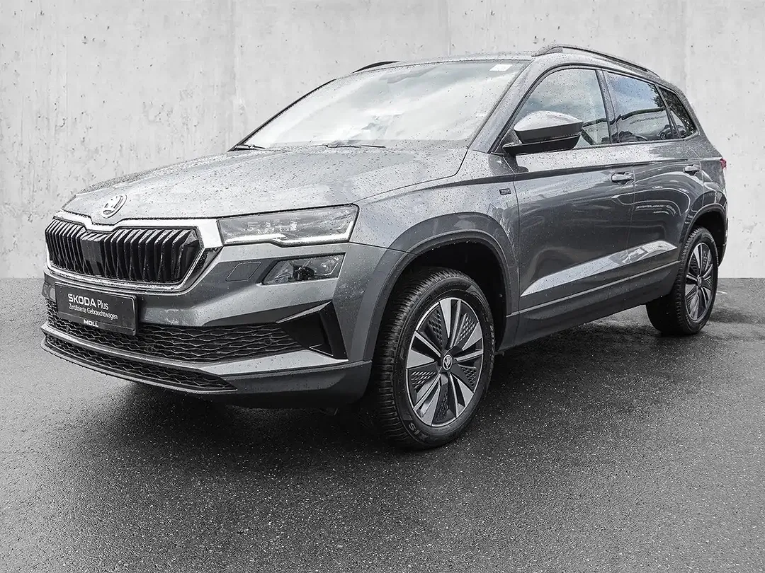 Skoda Karoq - Thumbnail 2
