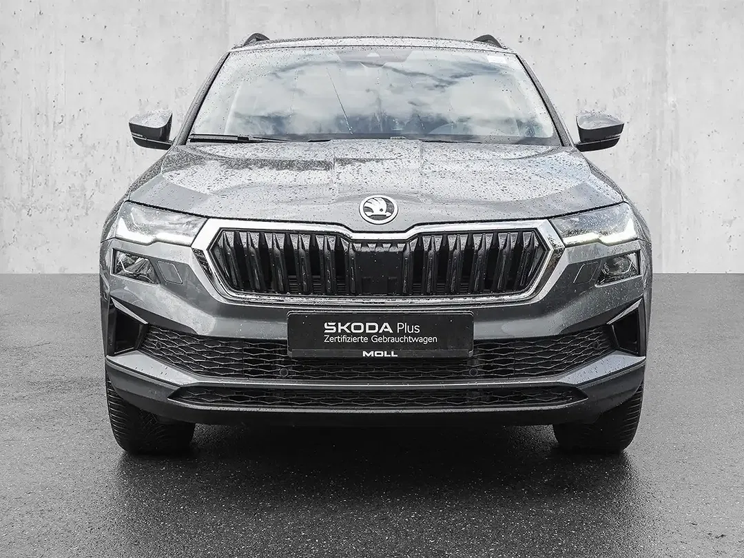 Skoda Karoq - Thumbnail 3