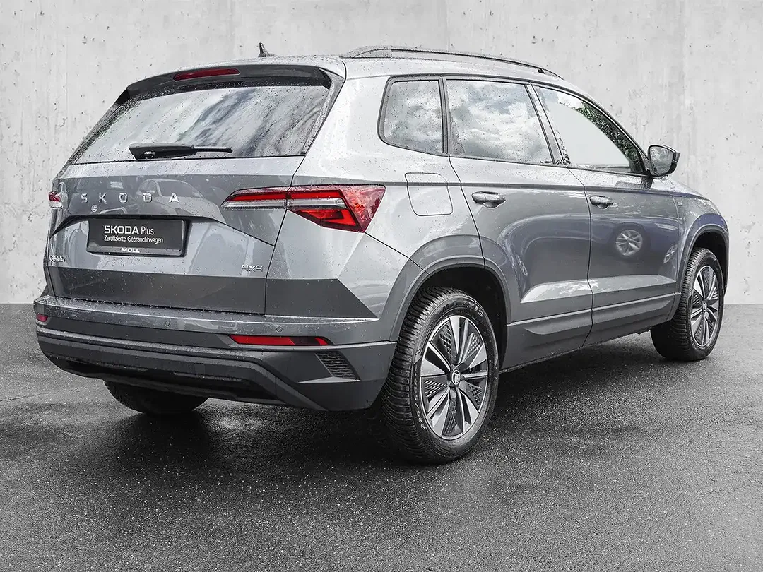 Skoda Karoq - Thumbnail 4
