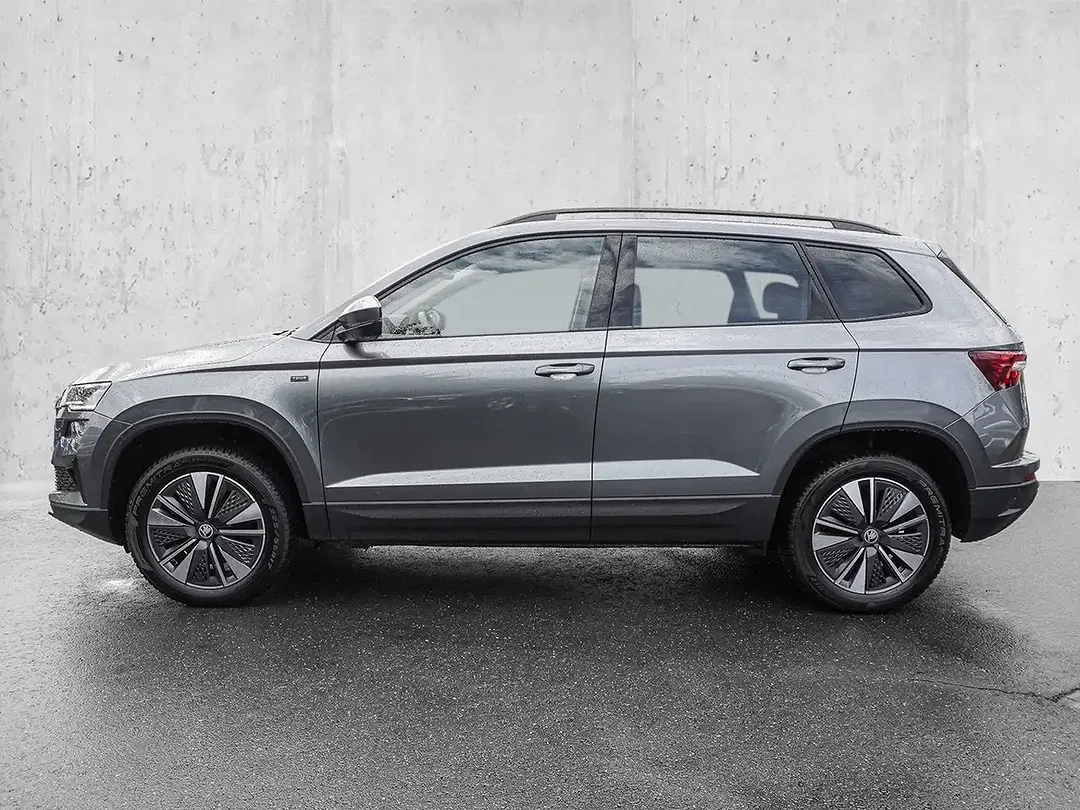 Skoda Karoq - Thumbnail 5