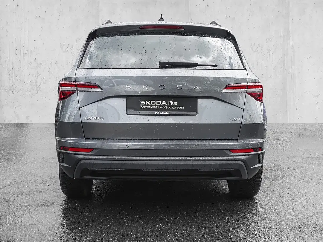 Skoda Karoq - Thumbnail 6