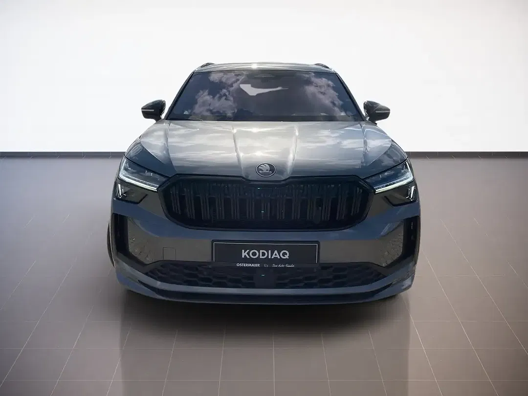 Skoda Kodiaq - Thumbnail 2