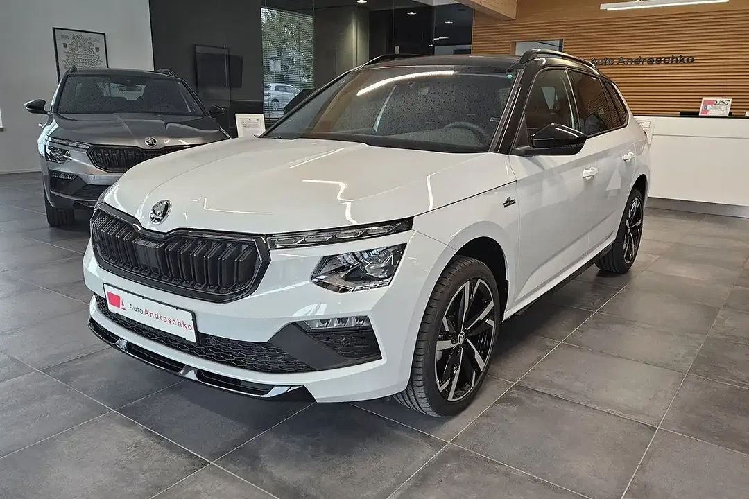 Skoda Kamiq - Thumbnail 1