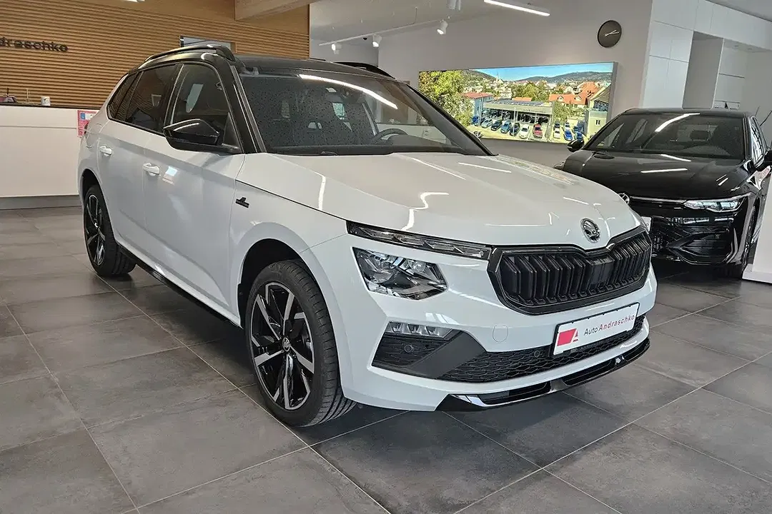 Skoda Kamiq - Thumbnail 3
