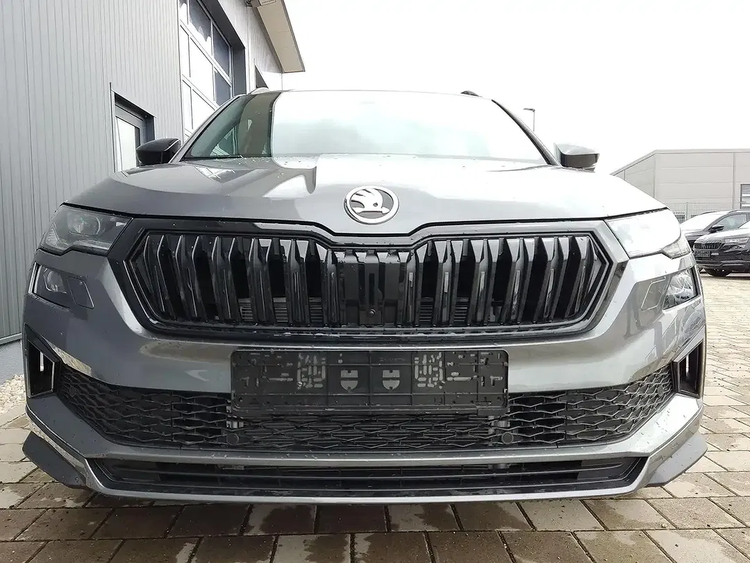 Skoda Karoq - Thumbnail 2