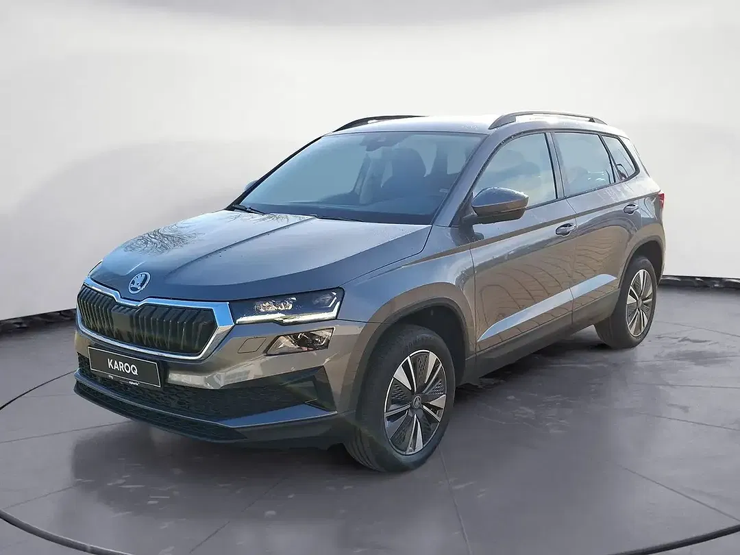 Skoda Karoq - Thumbnail 2
