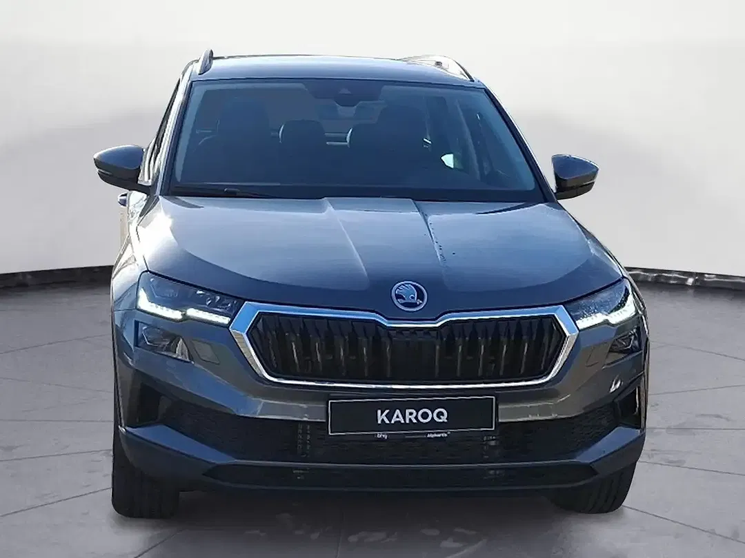 Skoda Karoq - Thumbnail 7