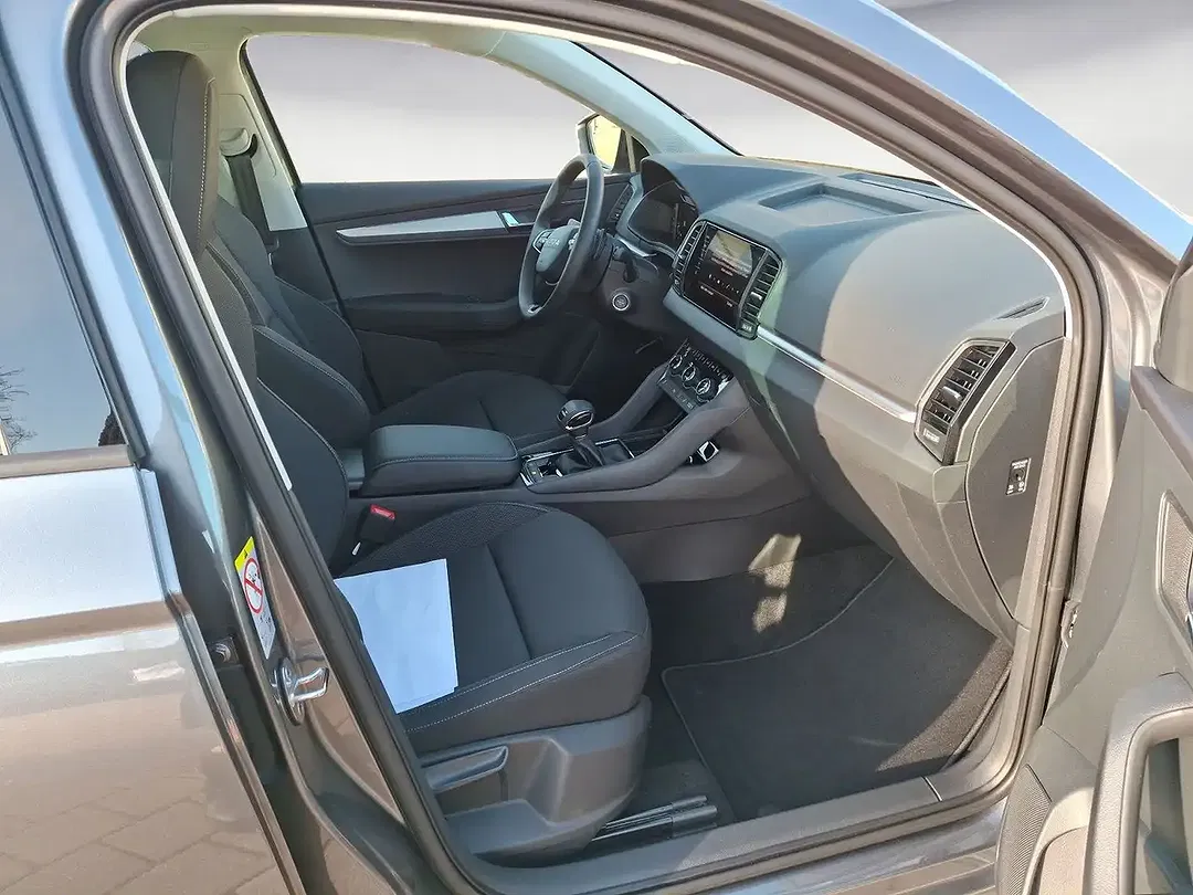Skoda Karoq - Thumbnail 9