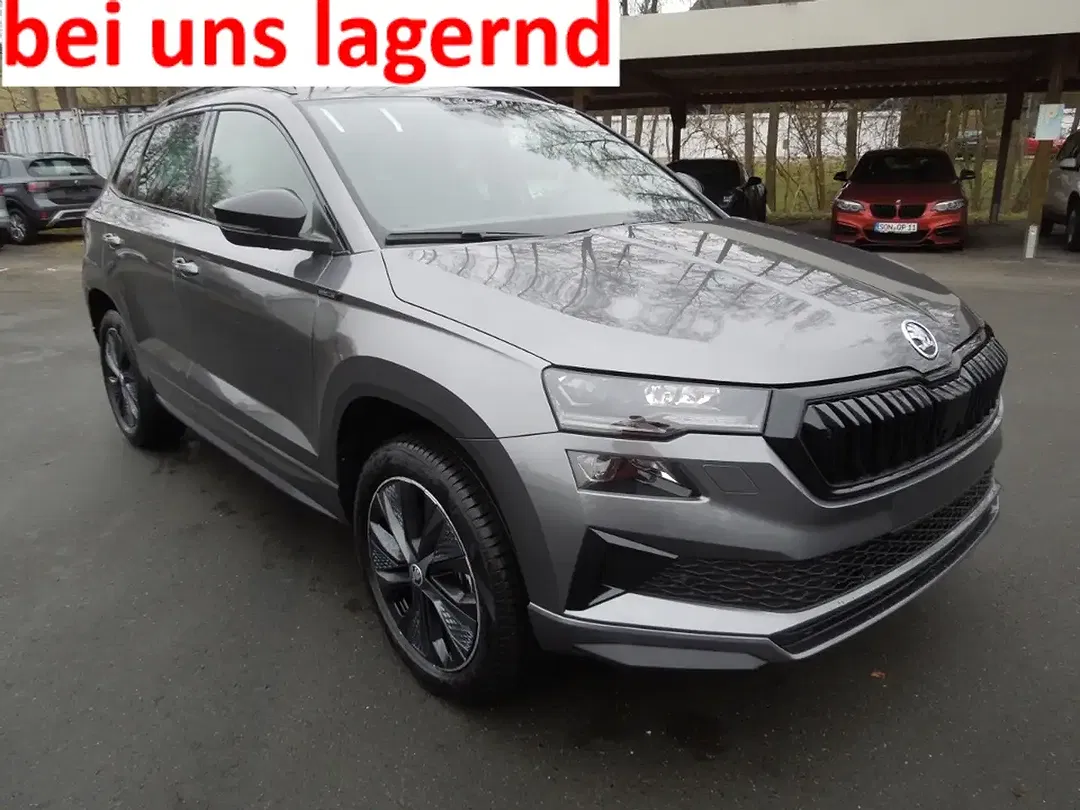Skoda Karoq - Thumbnail 1