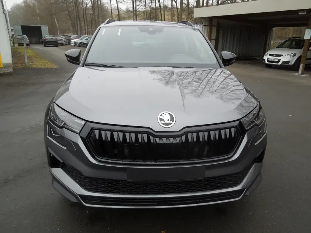 Skoda Karoq - Thumbnail 2
