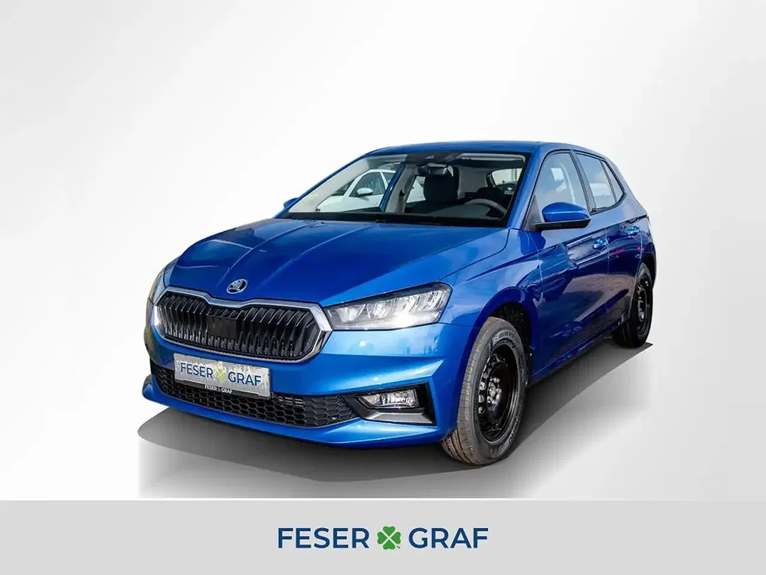 Skoda Fabia - Afbeelding 1