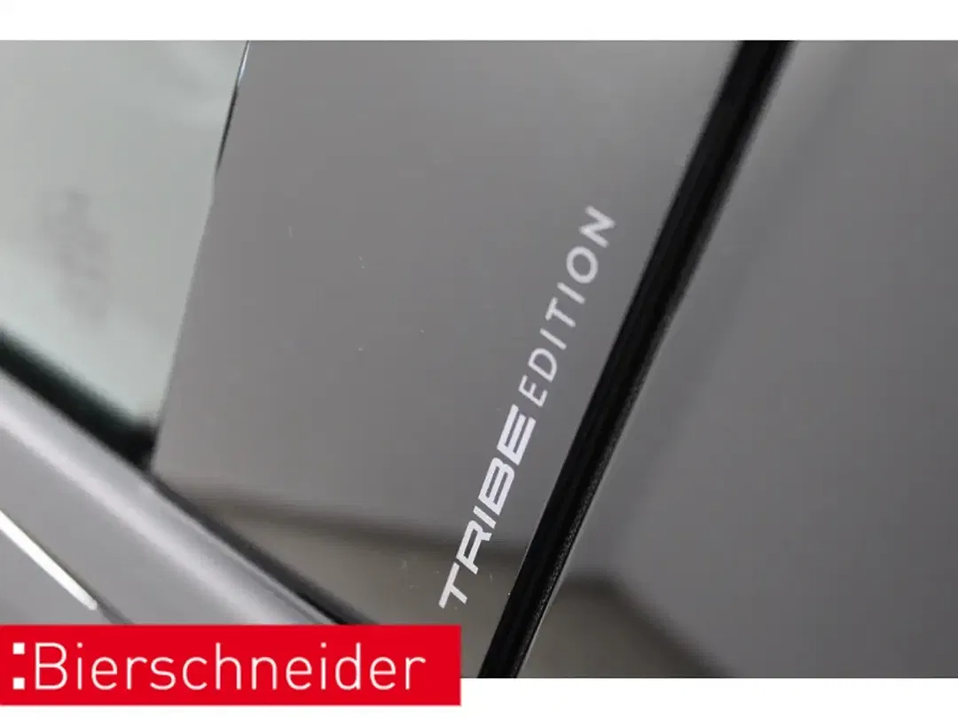 CUPRA Terramar - Thumbnail 13