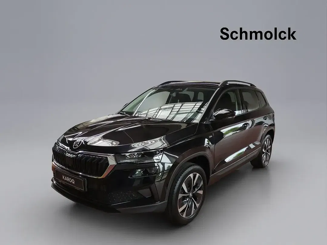 Skoda Karoq - Thumbnail 1