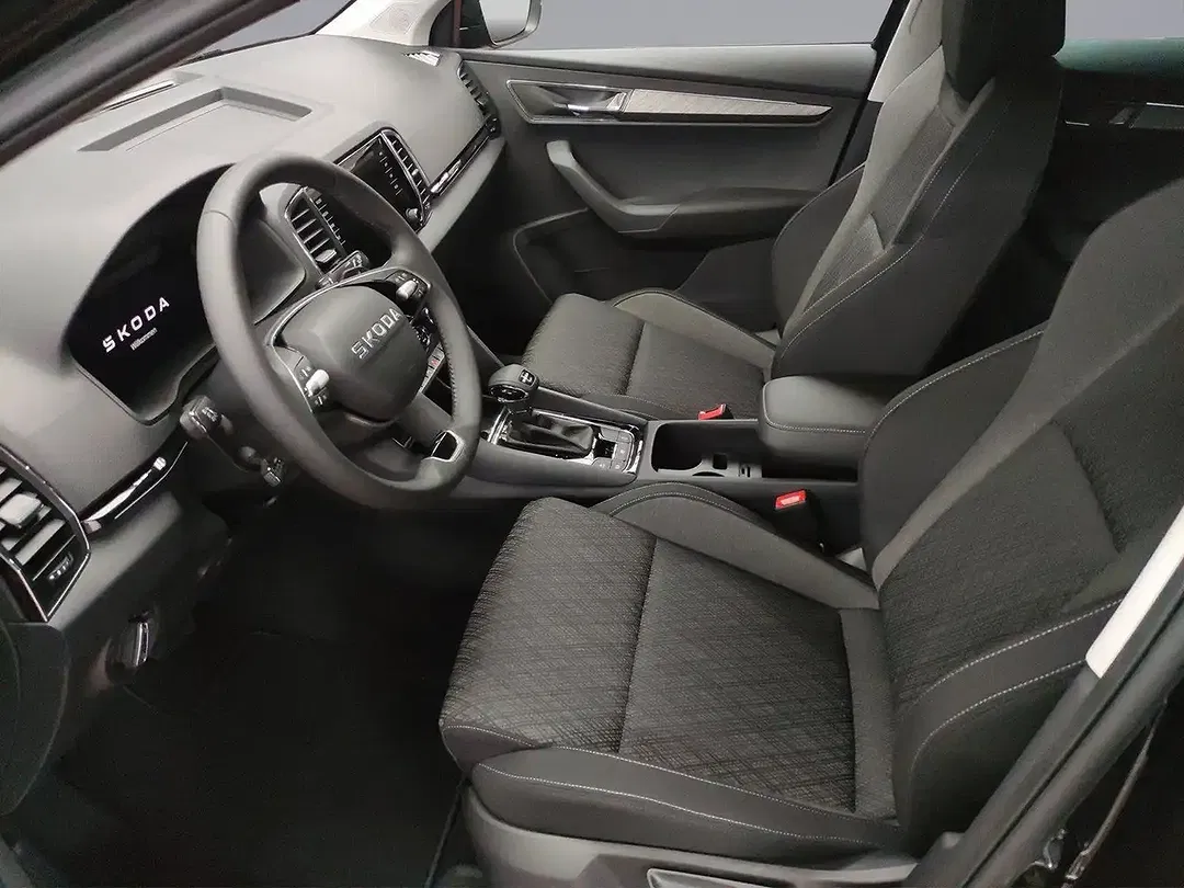 Skoda Karoq - Thumbnail 7