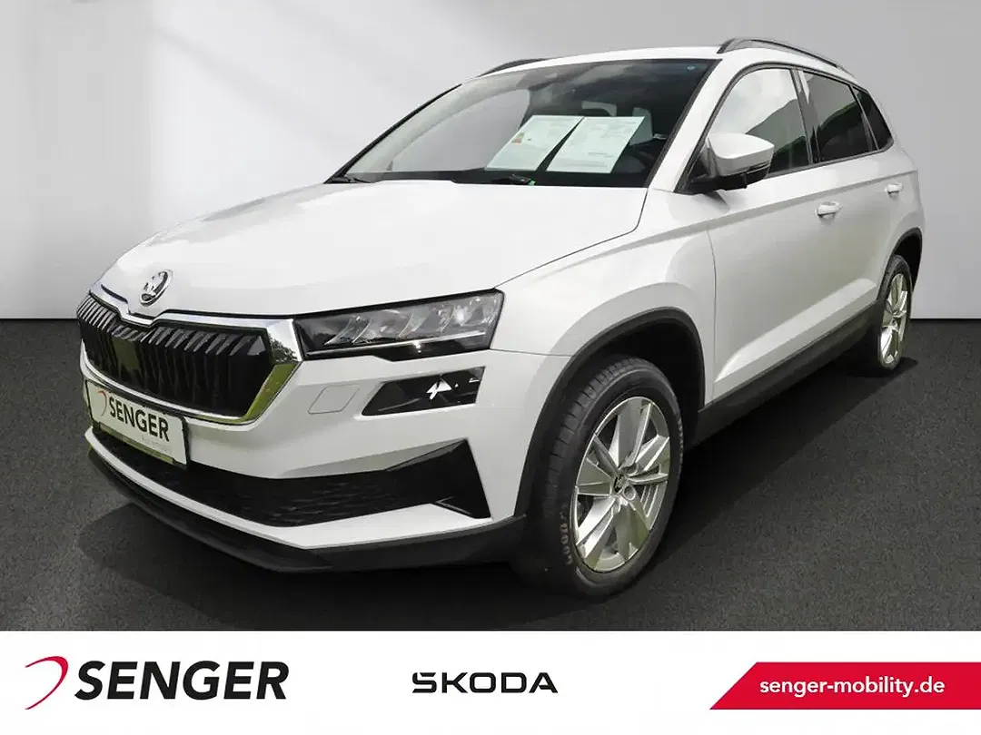 Skoda Karoq - Thumbnail 1