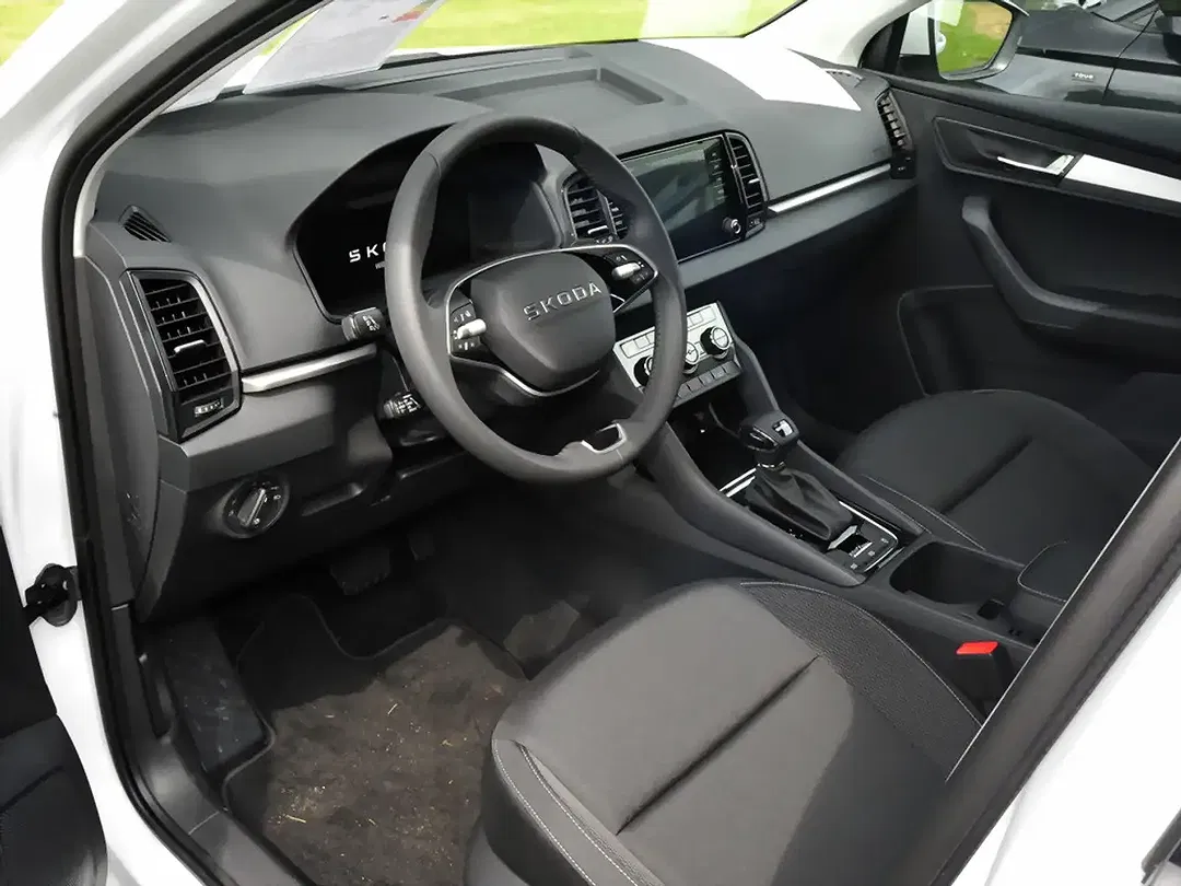 Skoda Karoq - Thumbnail 11