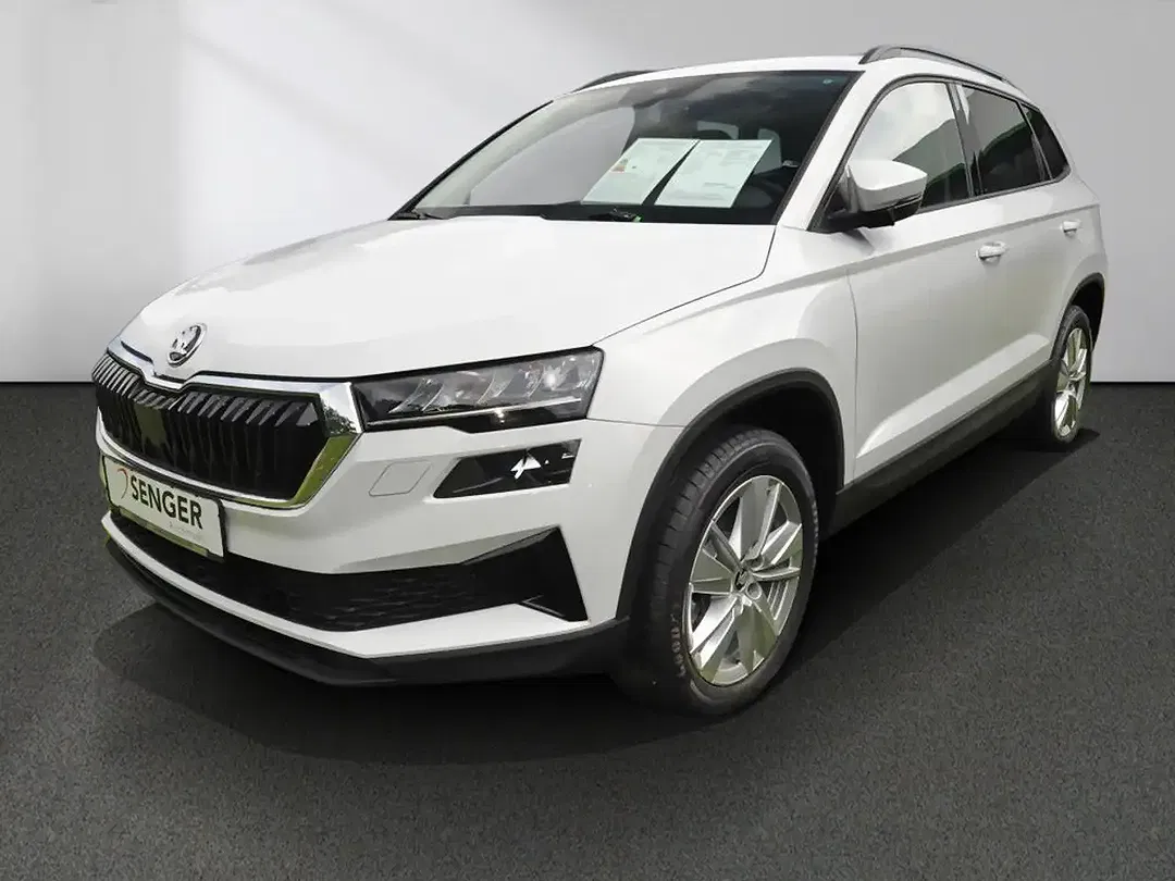 Skoda Karoq - Thumbnail 12