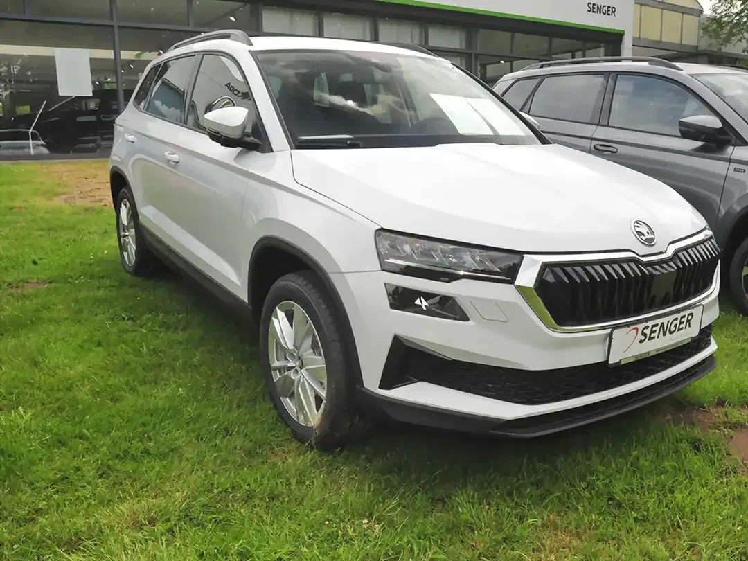 Skoda Karoq - Thumbnail 3