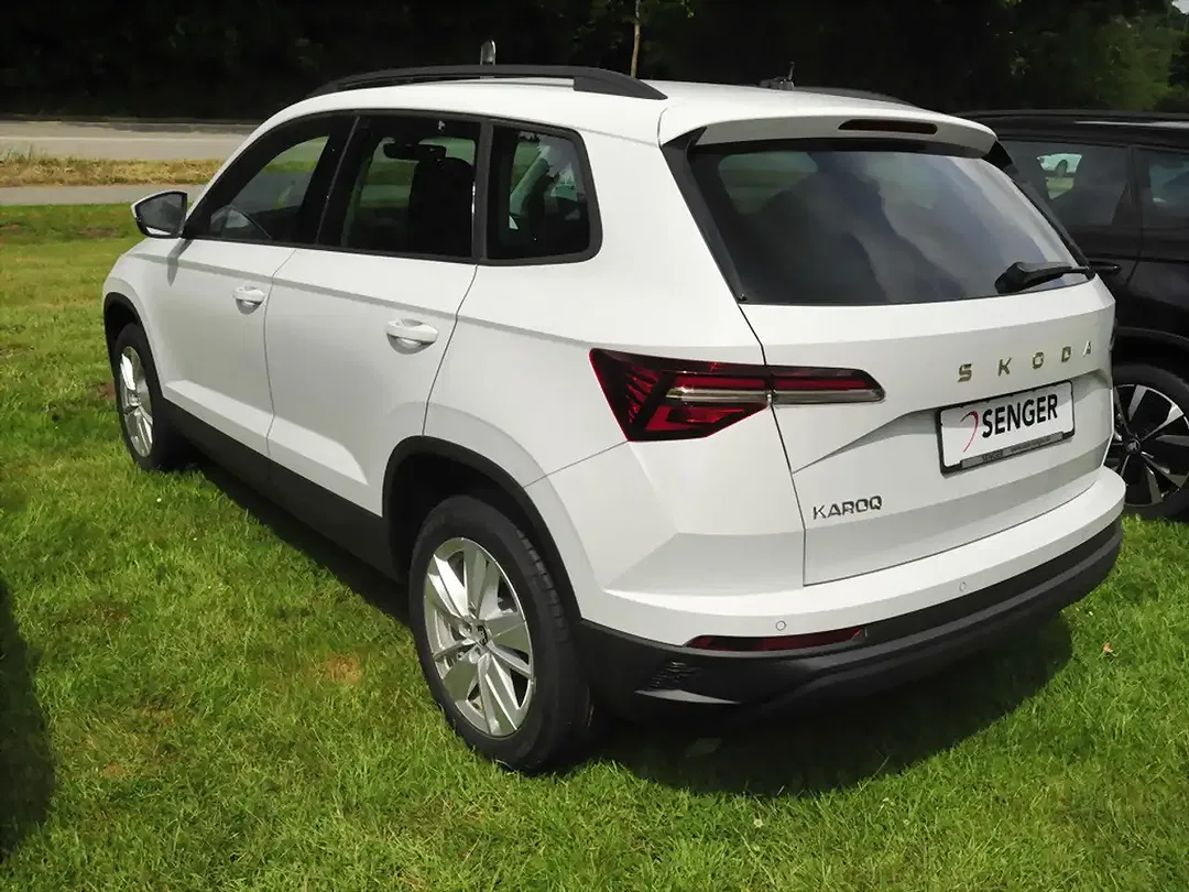 Skoda Karoq - Thumbnail 4