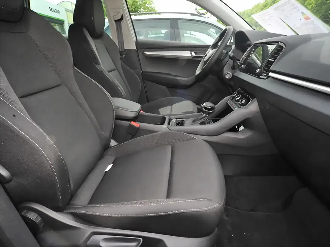 Skoda Karoq - Thumbnail 9