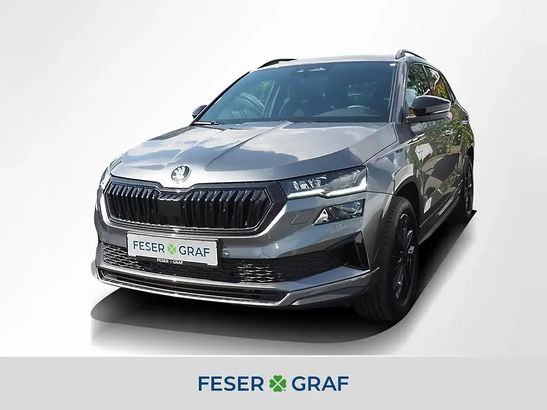 Skoda Karoq - Thumbnail 1