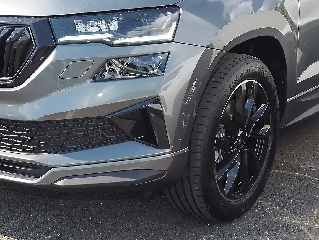 Skoda Karoq - Thumbnail 10