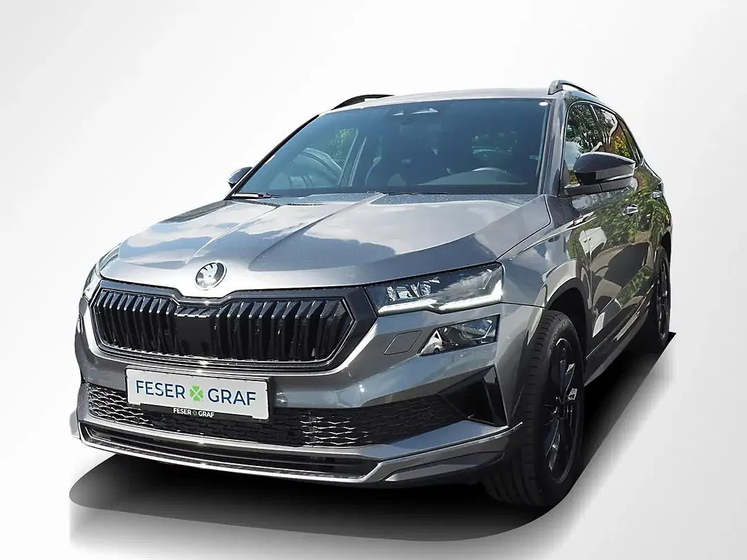 Skoda Karoq - Thumbnail 11
