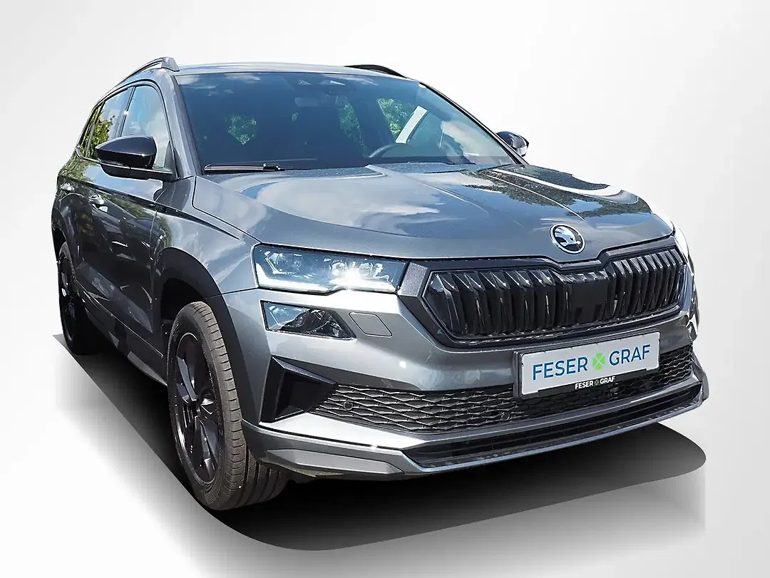 Skoda Karoq - Thumbnail 2