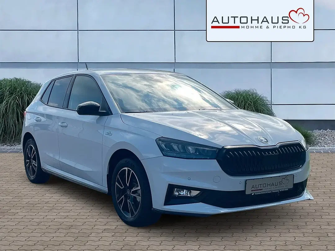 Skoda Fabia - Afbeelding 1