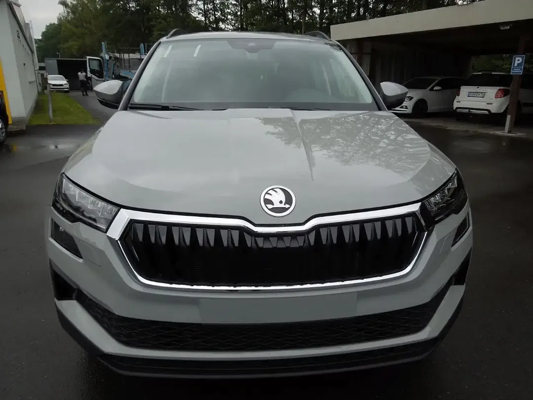 Skoda Karoq - Thumbnail 2