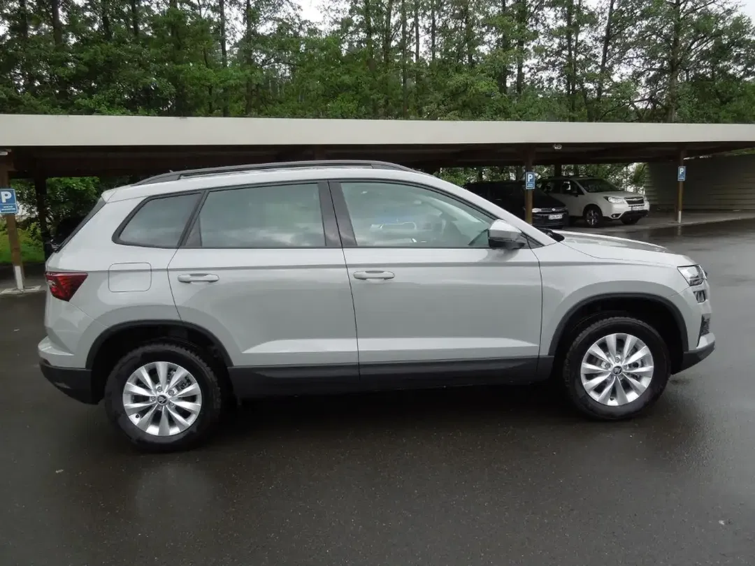 Skoda Karoq - Thumbnail 3