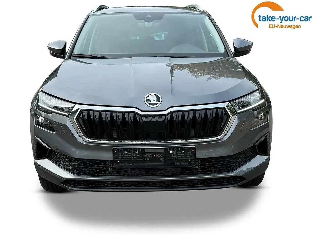 Skoda Karoq - Thumbnail 7