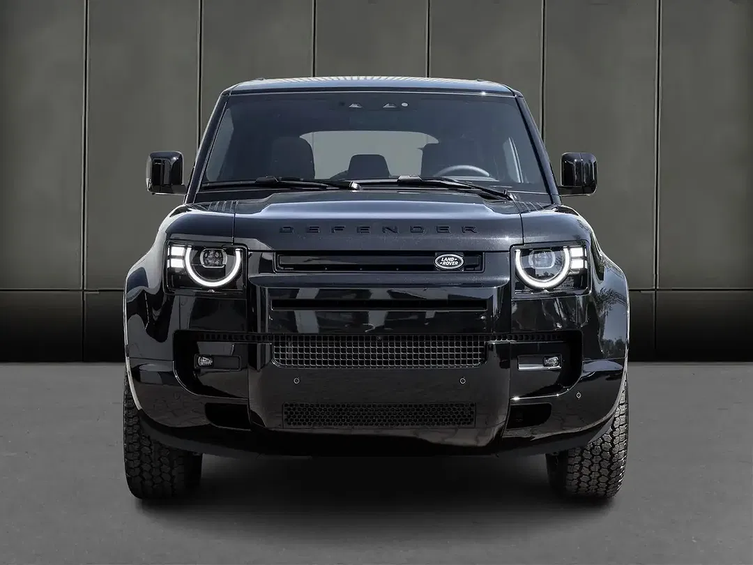 Land Rover Defender - Thumbnail 6