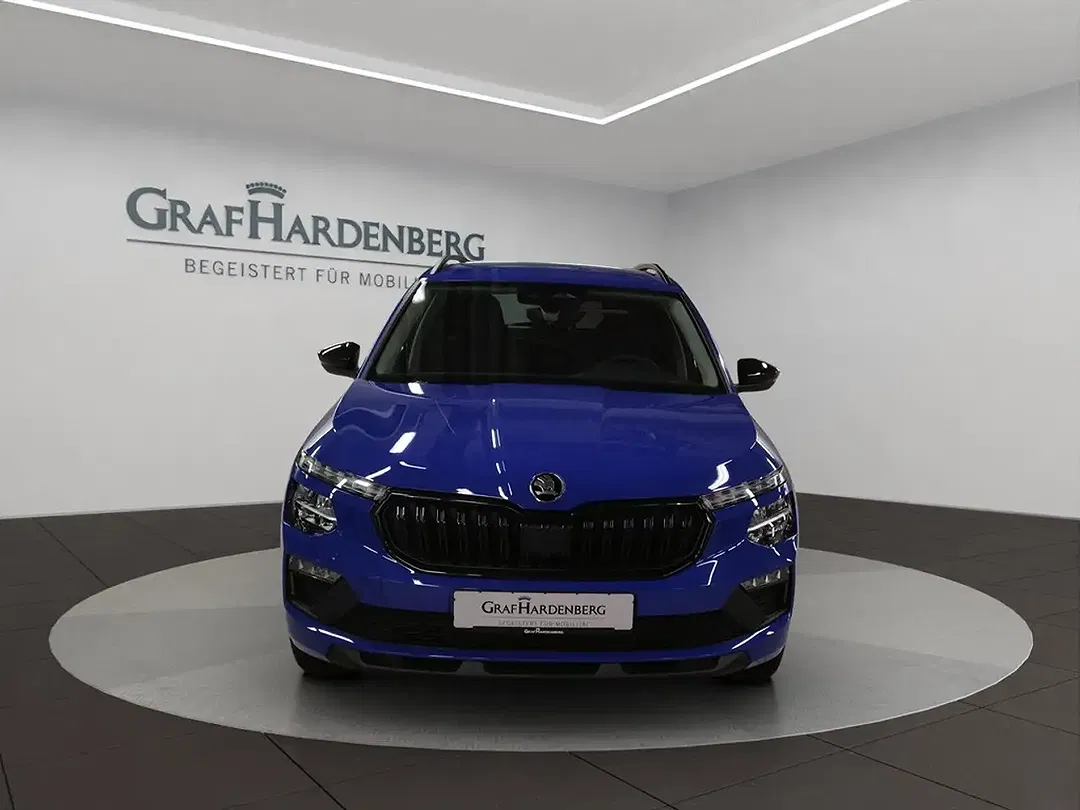 Skoda Kamiq - Thumbnail 8
