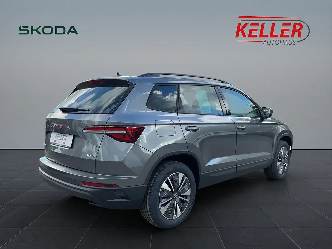Skoda Karoq - Thumbnail 6