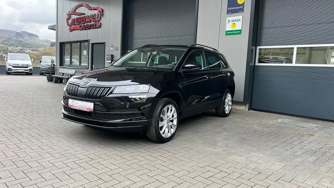 Skoda Karoq - Thumbnail 1