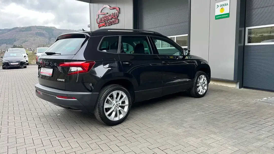 Skoda Karoq - Thumbnail 11