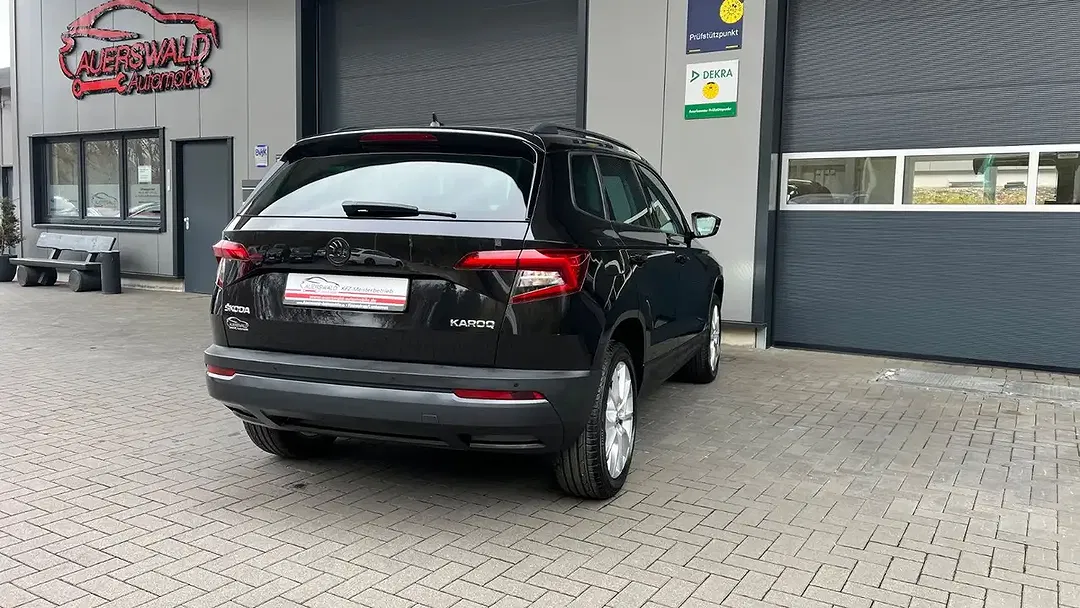 Skoda Karoq - Thumbnail 12