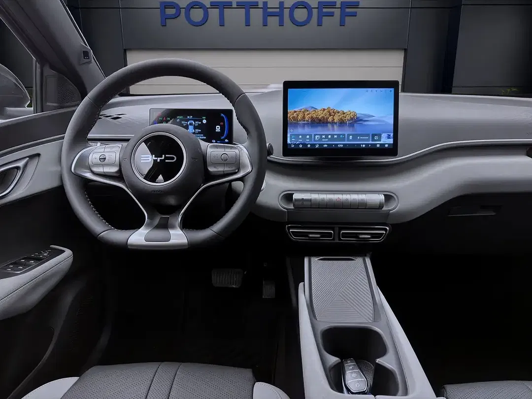 BYD Dolphin Surf - Thumbnail 14