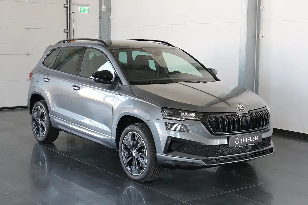 Skoda Karoq - Thumbnail 1