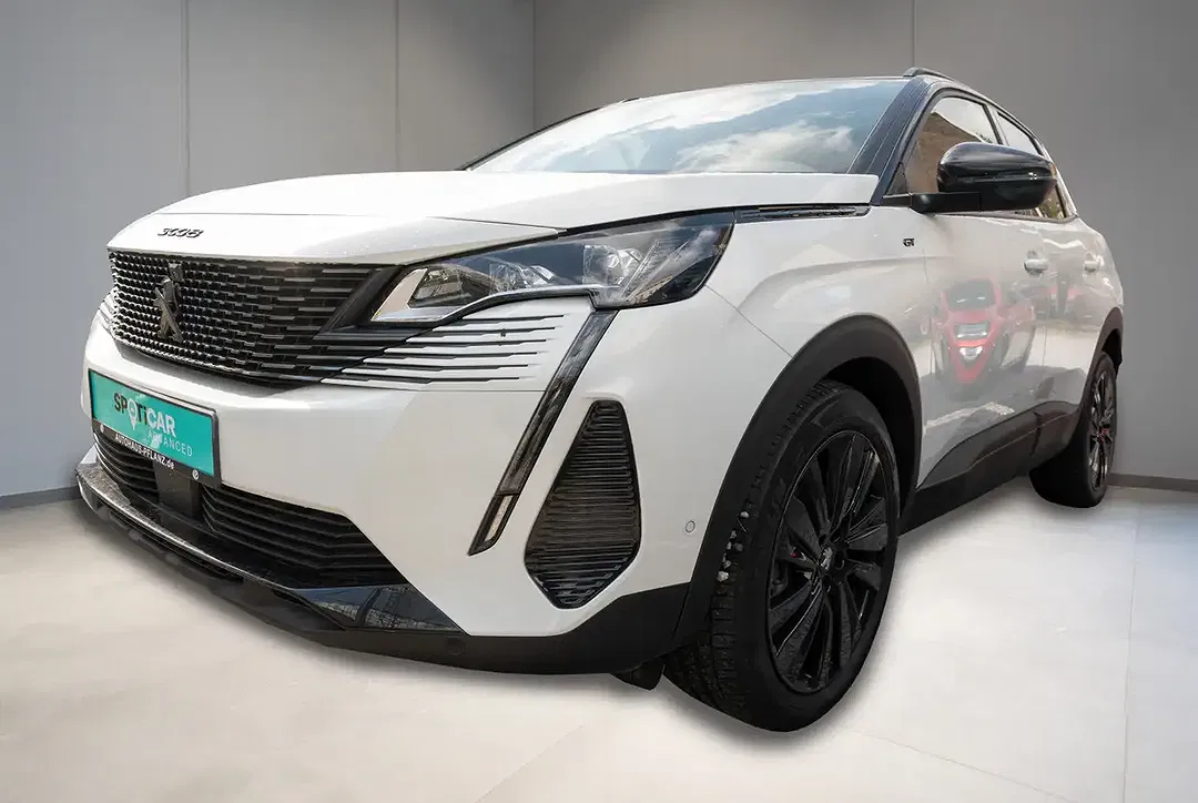Peugeot 3008 - Thumbnail 1