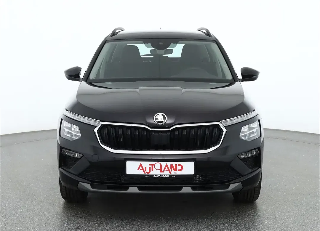 Skoda Kamiq - Thumbnail 8