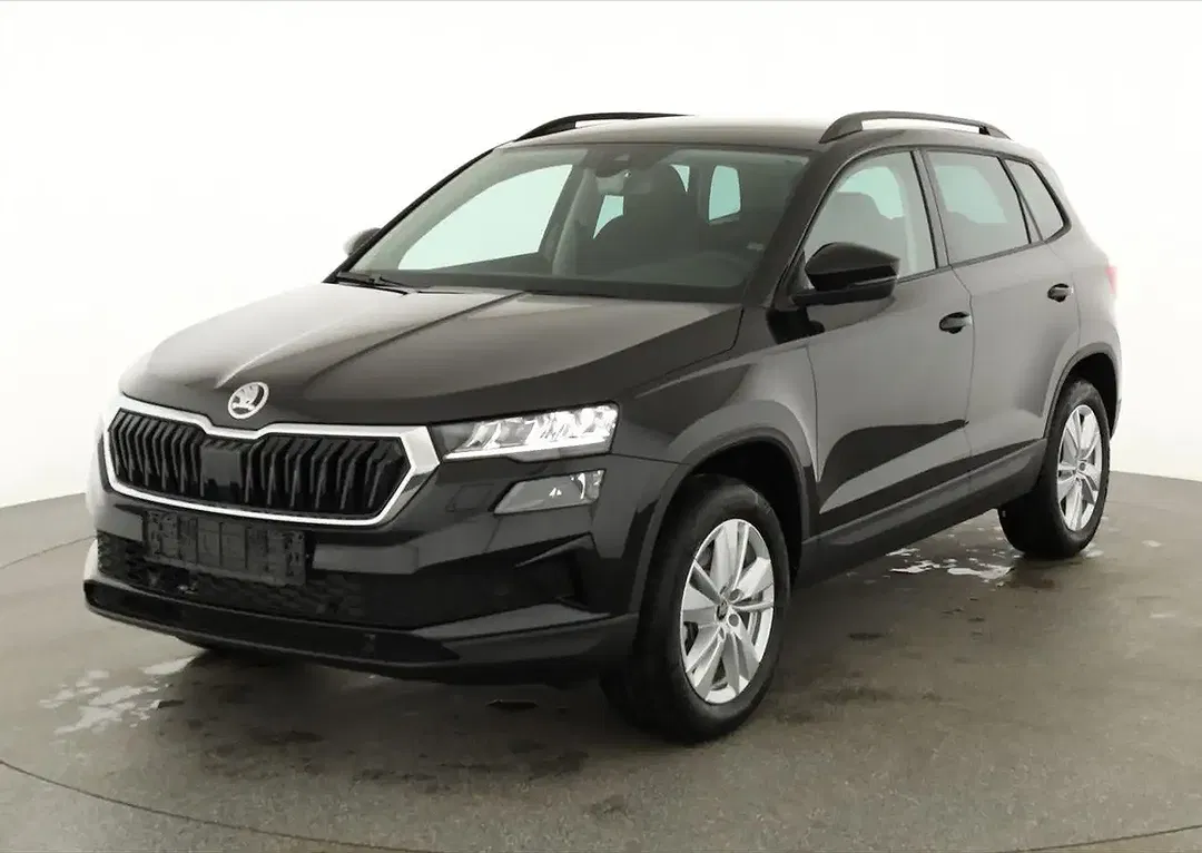Skoda Karoq - Thumbnail 1